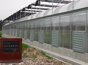 河南信陽光山縣現代農業園（陽光板智能連棟溫室）